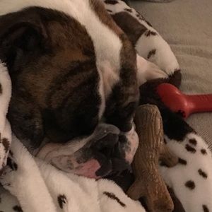 Meet your Posher, Heather